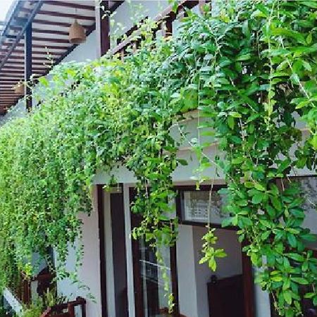 Riverside Plum Garden Villa Хойан Экстерьер фото